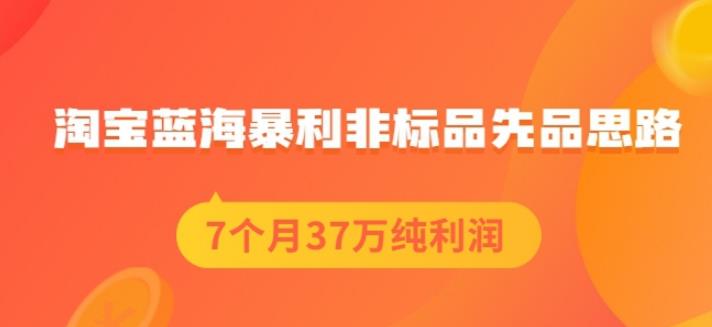 盗坤淘宝蓝海暴利非标品先品思路，7个月37万纯利润，压箱干货分享！【付费文章】-小二项目网