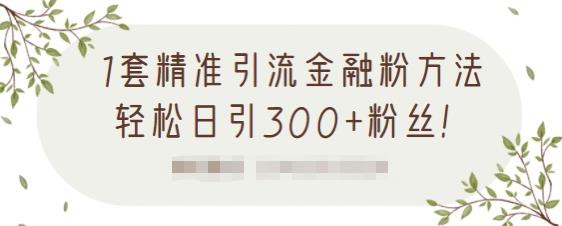 1套精准引流金融粉方法，轻松日引300 粉丝【视频课程】-小二项目网