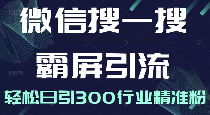 微信搜一搜霸屏引流课，打造被动精准引流系统，轻松日引300行业精准粉【无水印】-小二项目网