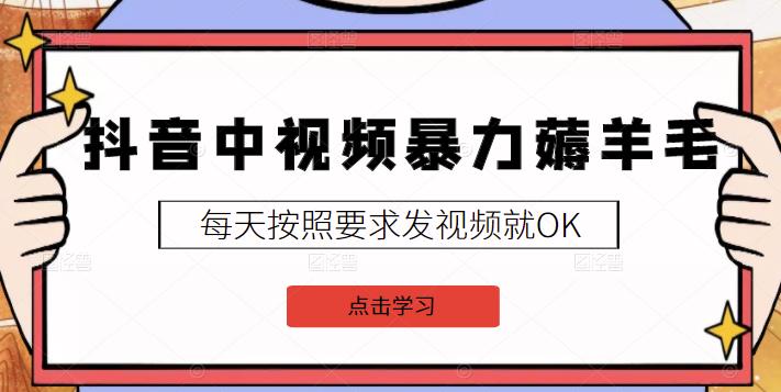 2022抖音中视频暴力薅羊毛白嫖项目：新号每天20块，老号几天几百块，可多号-小二项目网