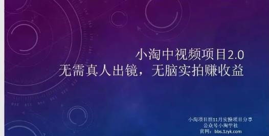 小淘项目组网赚永久会员，绝对是具有实操价值的，适合有项目做需要流程【持续更新】-小二项目网