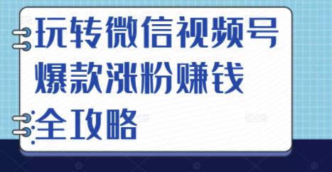 玩转微信视频号爆款涨粉赚钱全攻略，让你快速抓住流量风口，收获红利财富-小二项目网