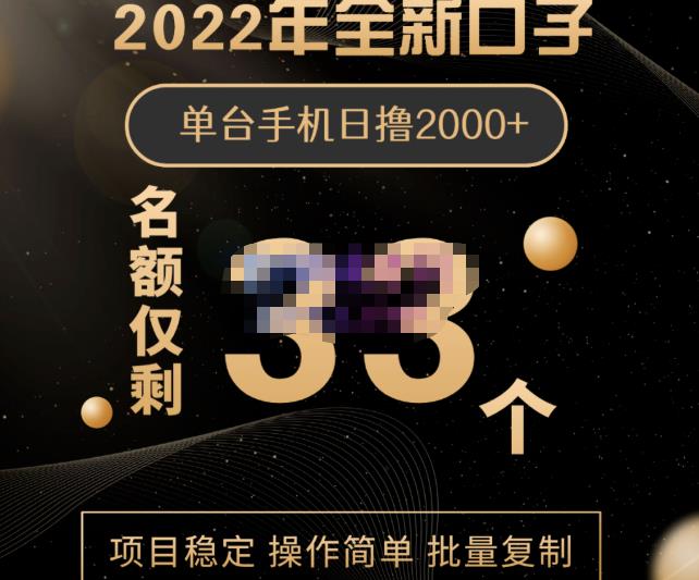 2022年全新口子，手机批量搬砖玩法，一部手机日撸2000-小二项目网