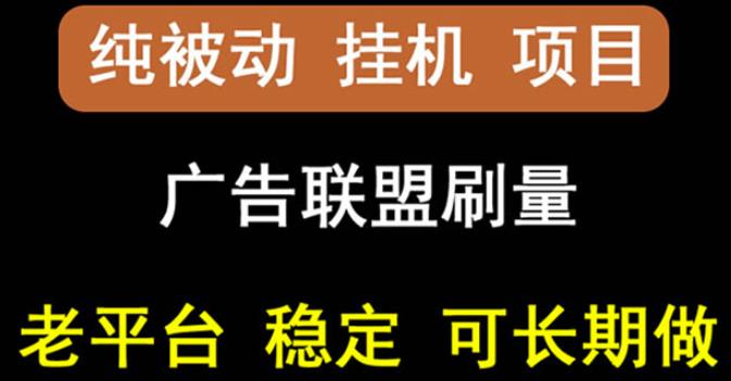 【稳定挂机】oneptp出海广告联盟挂机项目，每天躺赚几块钱，多台批量多赚些-小二项目网