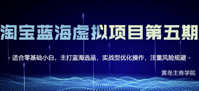 淘宝虚拟无货源3.0 4.0 5.0，适合零基础小白，主打蓝海选品，实战型优化操作-小二项目网