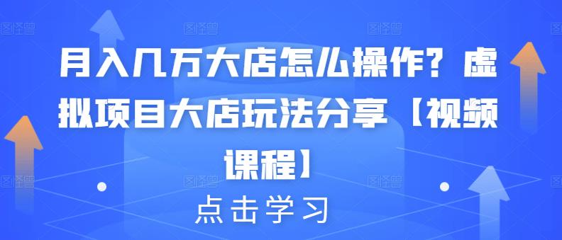 月入几万大店怎么操作？虚拟项目大店玩法分享【视频课程】-小二项目网