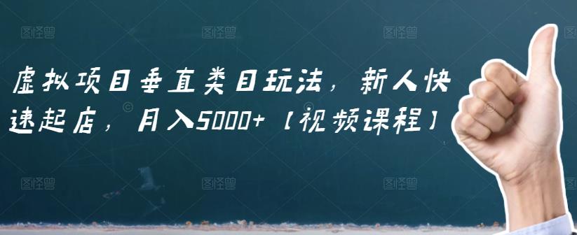 虚拟项目垂直类目玩法，新人快速起店，月入5000 【视频课程】-小二项目网