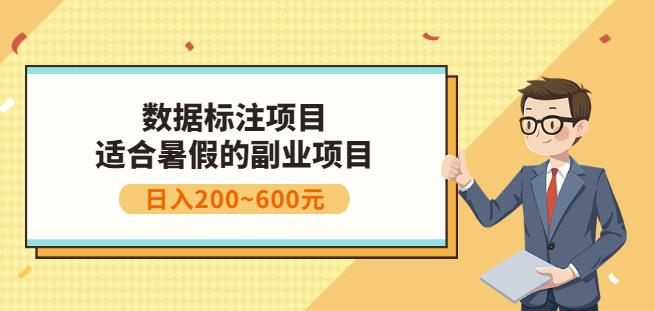 副业赚钱：人工智能数据标注项目，简单易上手，小白也能日入200-小二项目网