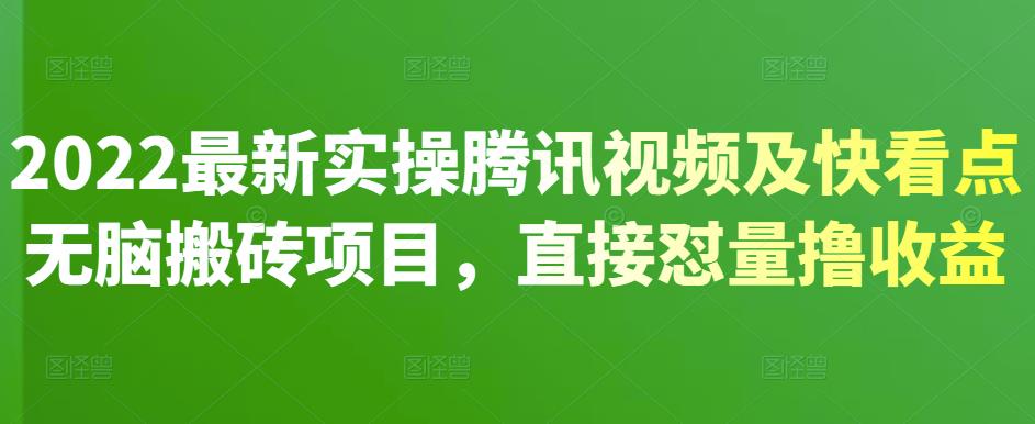 2022最新实操腾讯视频及快看点无脑搬砖项目，直接怼量撸收益-小二项目网