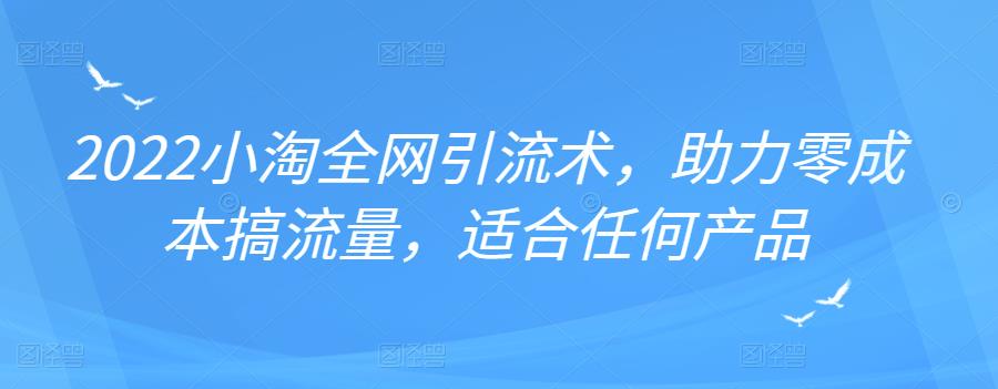 2022年小淘全网引流术，助力零成本搞流量，适合任何产品-小二项目网