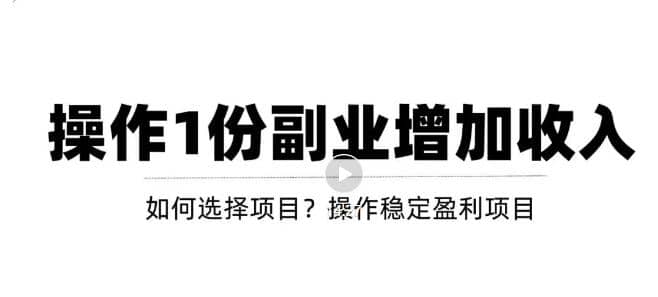 新手如何通过操作副业增加收入，从项目选择到玩法分享！【视频教程】-小二项目网