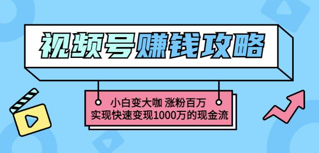 玩转微信视频号赚钱：小白变大咖涨粉百万实现快速变现1000万的现金流-小二项目网