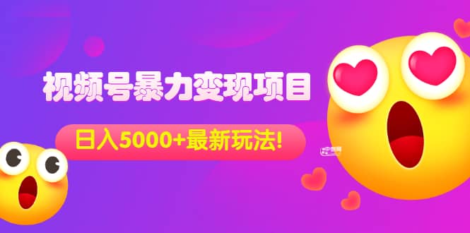 外面收费699的视频号暴力变现项目，日入5000 ，简单易操作当天见效果-小二项目网