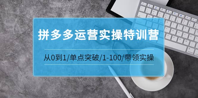 拼多多运营实操特训营：从0到1/单点突破/1-100/带领实操 价值2980元-小二项目网