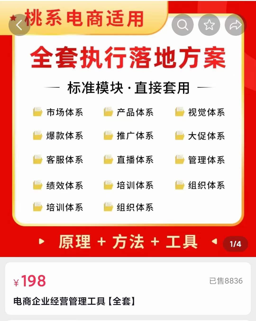 外面卖198·电商企业经营管理工具：全套执行落地方案 标准模块·直接套用-小二项目网