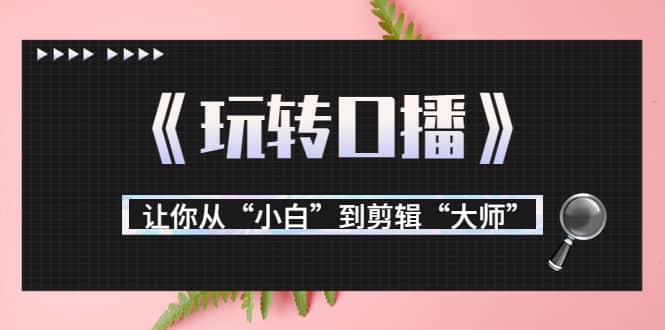 月营业额700万 大佬教您《玩转口播》让你从“小白”到剪辑“大师”-小二项目网