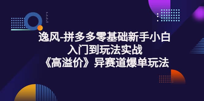 拼多多零基础新手小白入门到玩法实战《高溢价》异赛道爆单玩法实操课-小二项目网