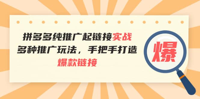 拼多多纯推广起链接实战：多种推广玩法，手把手打造爆款链接-小二项目网