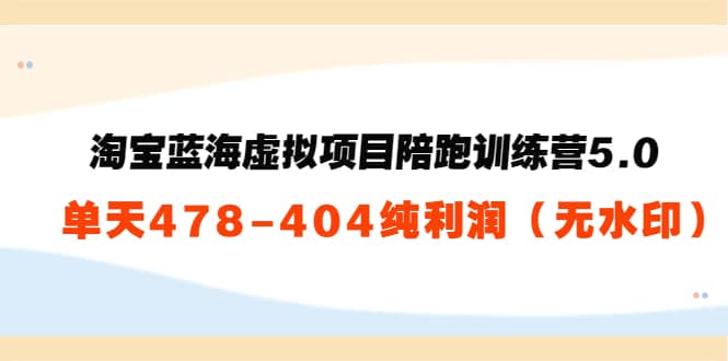 淘宝蓝海虚拟项目陪跑训练营5.0：单天478纯利润（无水印）-小二项目网