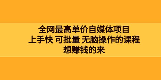 全网最单高价自媒体项目：上手快 可批量 无脑操作的课程，想赚钱的来-小二项目网