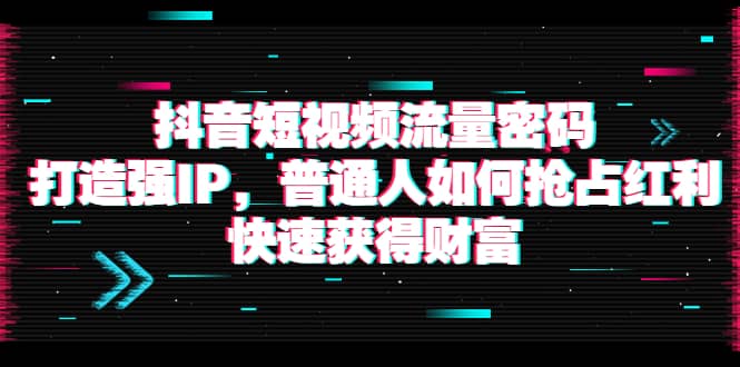 抖音短视频流量密码：打造强IP，普通人如何抢占红利，快速获得财富-小二项目网