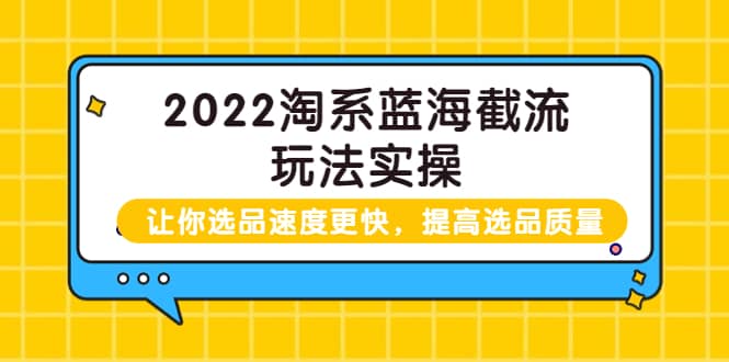 2022淘系蓝海截流玩法实操：让你选品速度更快，提高选品质量（价值599）-小二项目网