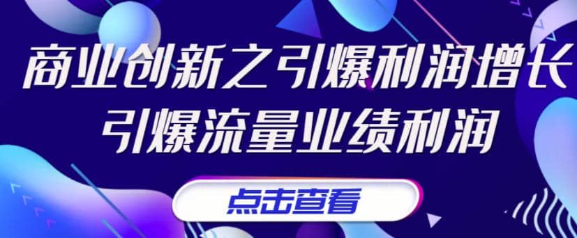 《商业创新之引爆利润增长》引爆流量业绩利润-小二项目网