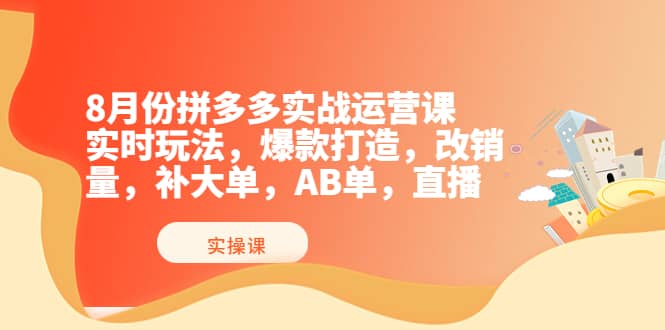 8月份拼多多实战运营课，实时玩法，爆款打造，改销量，补大单，AB单，直播-小二项目网