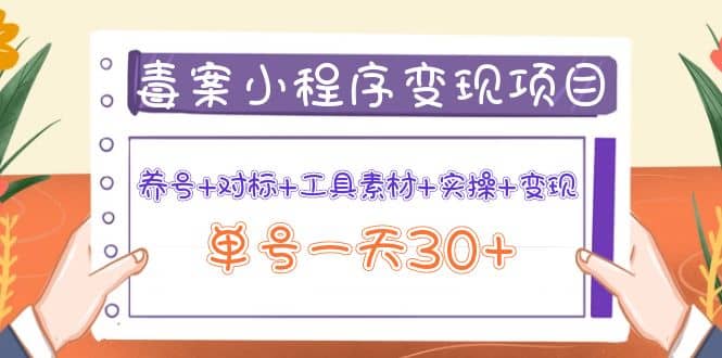 毒案小程序变现项目：养号 对标 工具素材 实操 变现-小二项目网