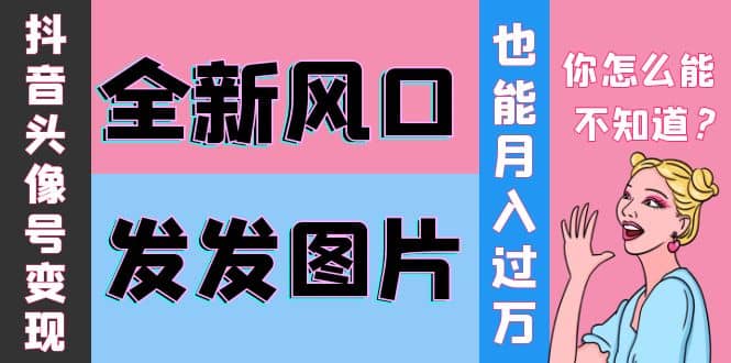 抖音头像号变现0基础教程-小二项目网