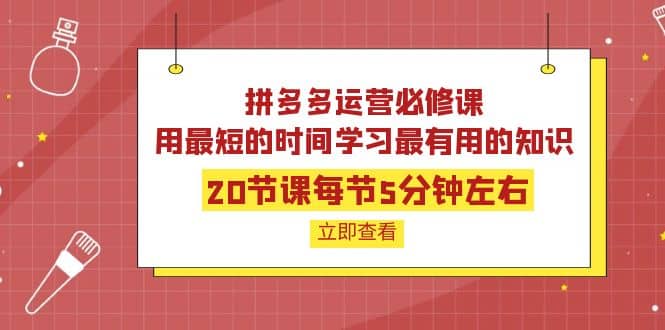 拼多多运营必修课：20节课每节5分钟左右，用最短的时间学习最有用的知识-小二项目网