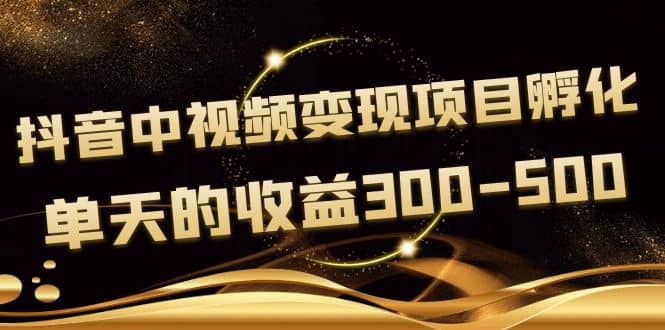 黄岛主《抖音中视频变现项目孵化》单天的收益300-500 操作简单粗暴-小二项目网