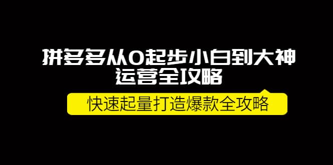 拼多多从0起步小白到大神运营全攻略-小二项目网