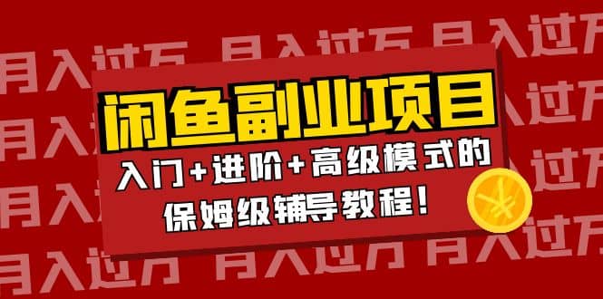 月入过万闲鱼副业项目：入门 进阶 高级模式的保姆级辅导教程-小二项目网