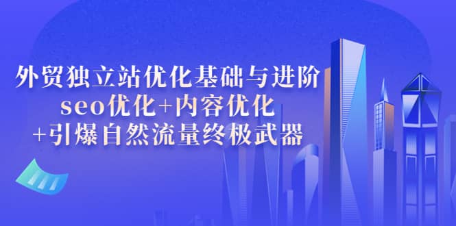 外贸独立站优化基础与进阶，seo优化 内容优化 引爆自然流量终极武器-小二项目网