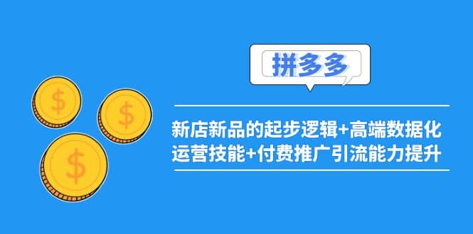 2022拼多多：新店新品的起步逻辑 高端数据化运营技能 付费推广引流能力提升-小二项目网