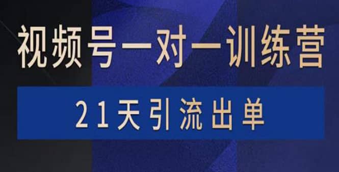 视频号训练营：带货，涨粉，直播，游戏，四大变现新方向，21天引流出单-小二项目网