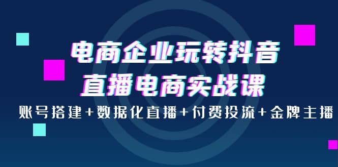 电商企业玩转抖音直播电商实战课：账号搭建 数据化直播 付费投流 金牌主播-小二项目网