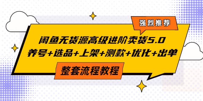 闲鱼无货源高级进阶卖货5.0，养号 选品 上架 测款 优化 出单整套流程教程-小二项目网