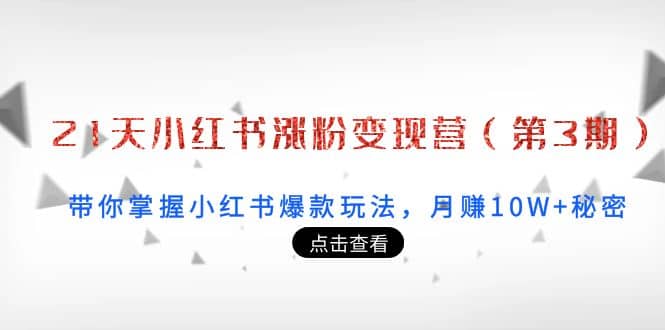 21天小红书涨粉变现营（第3期）：带你掌握小红书爆款玩法，月赚10W 秘密-小二项目网