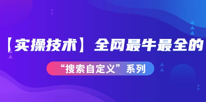 【实操技术】全网最牛最全的“搜索自定义”系列！价值698元-小二项目网