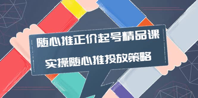 随心推正价起号精品课，实操随心推投放策略（5节课-价值298）-小二项目网