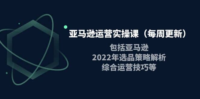 亚马逊运营实操课（每周更新）包括亚马逊2022选品策略解析，综合运营技巧等-小二项目网