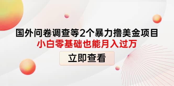 国外问卷调查等2个暴力撸美元项目，小白零基础也能月入过万-小二项目网