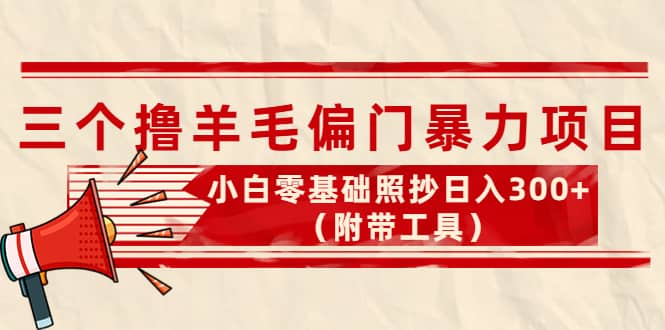 外面卖998的三个撸羊毛项目，小白零基础照抄（附带工具）-小二项目网