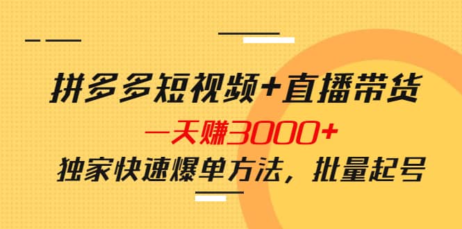 拼多多短视频 直播带货，一天赚3000 独家快速爆单方法，批量起号-小二项目网