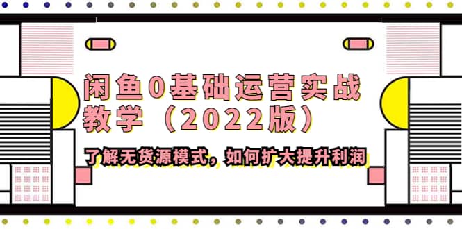 闲鱼0基础运营实战教学（2022版）了解无货源模式，如何扩大提升利润-小二项目网