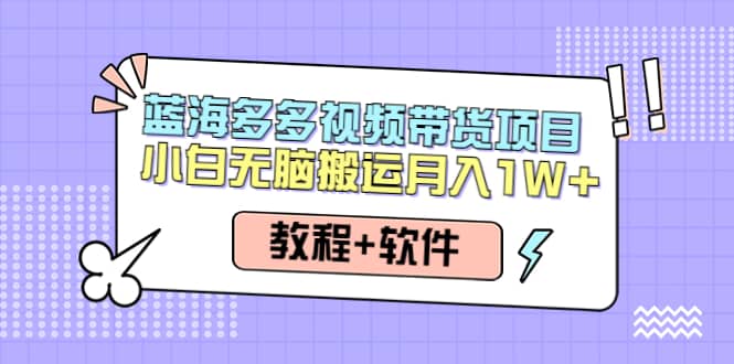 人人都能操作的蓝海多多视频带货项目 小白无脑搬运（教程 软件）-小二项目网