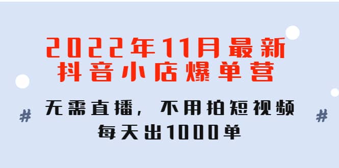 2022年11月最新抖音小店爆单训练营：无需直播，不用拍短视频，每天出1000单-小二项目网