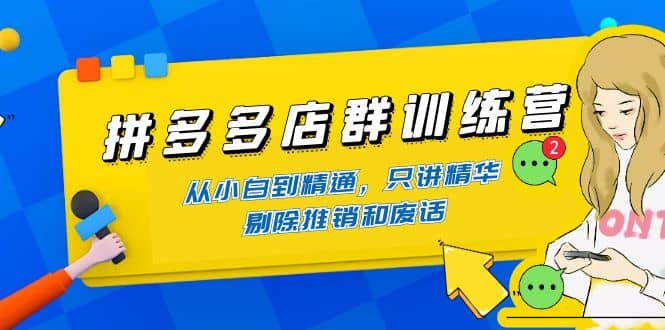 拼多多店群训练营：从小白到精通，只讲精华，剔除推销和废话-小二项目网